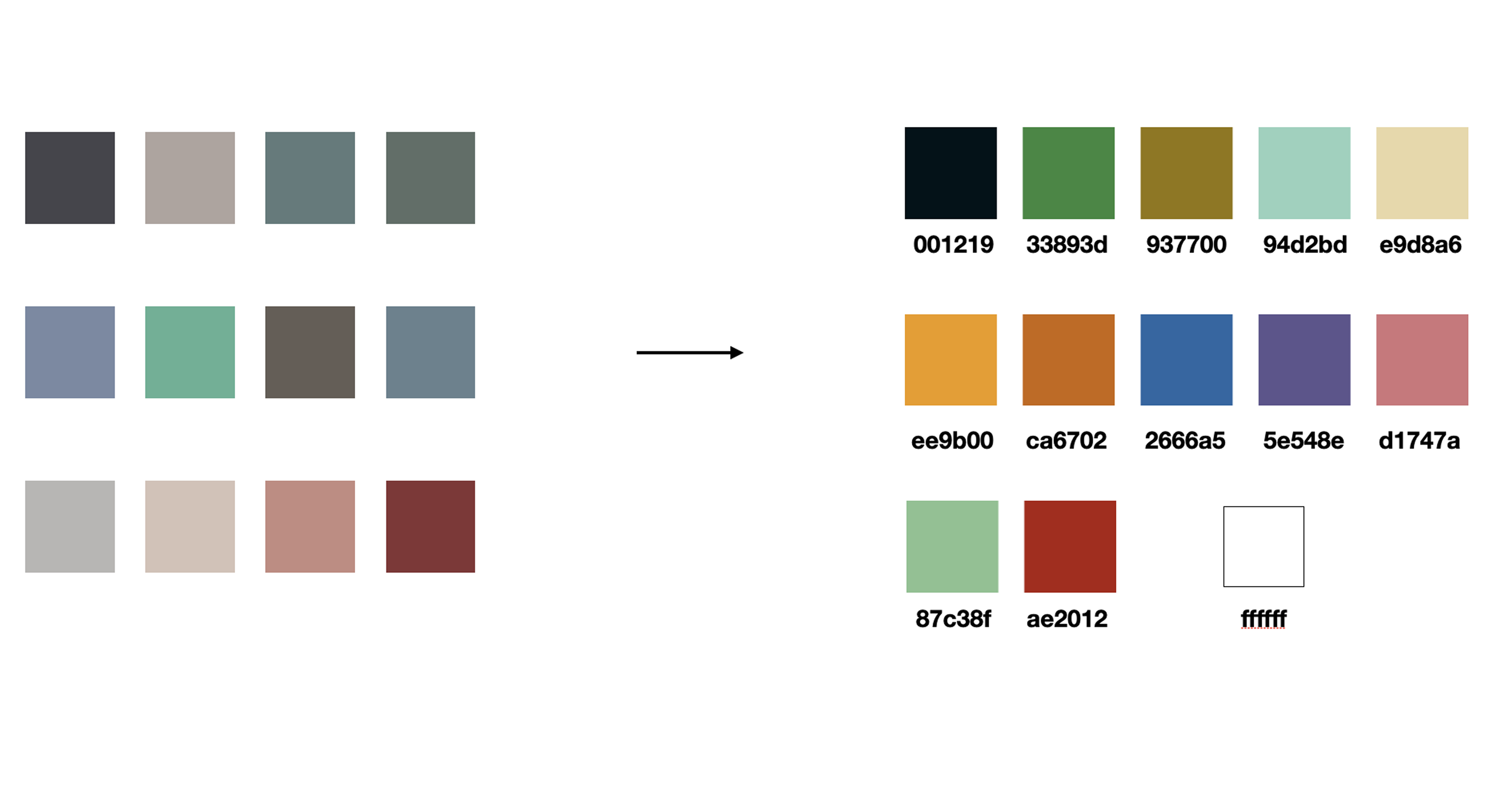 Color palette for shelter interior design, showing primary and accent tones