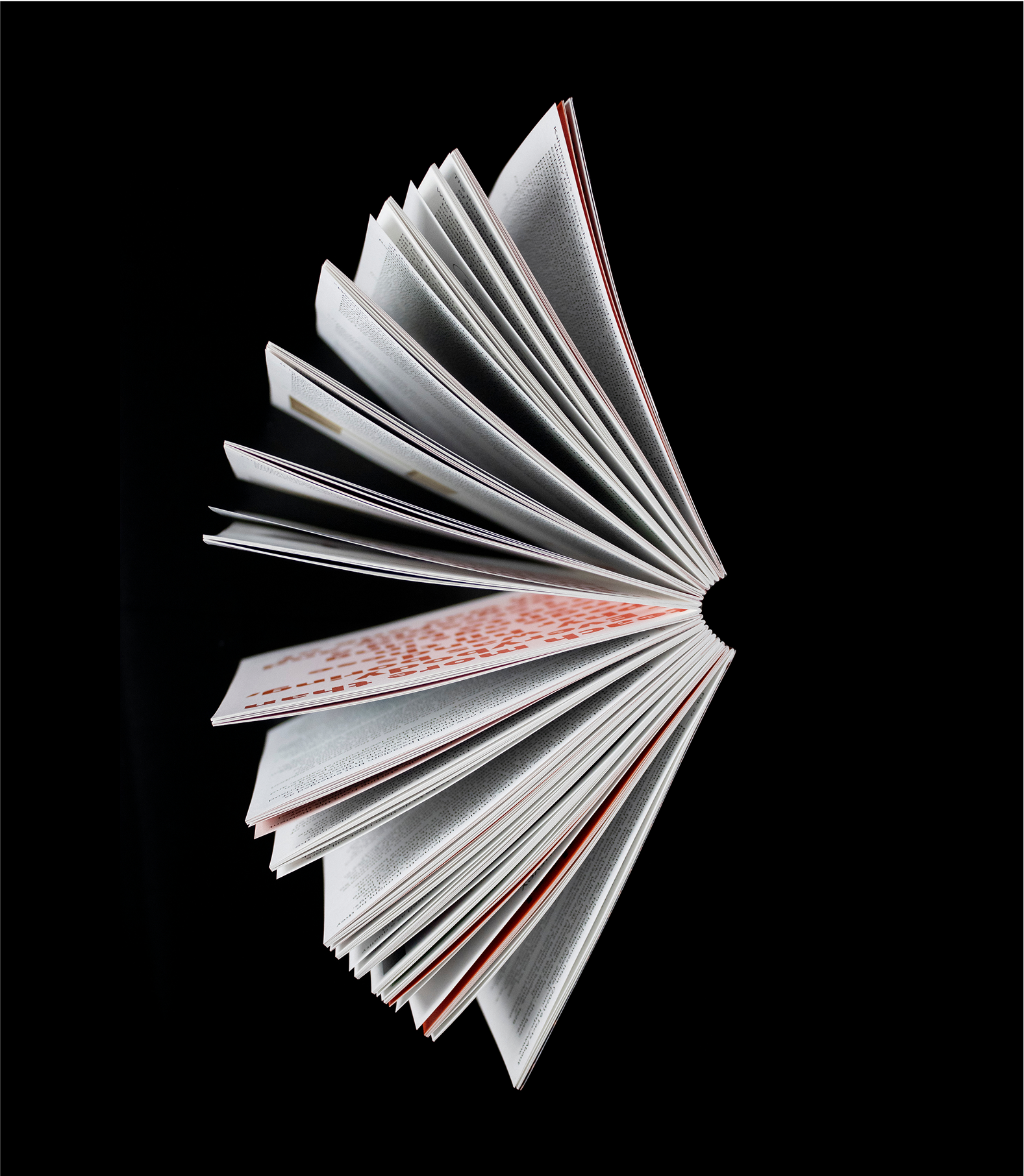 Side view of partially fanned book with visible red-edged pages