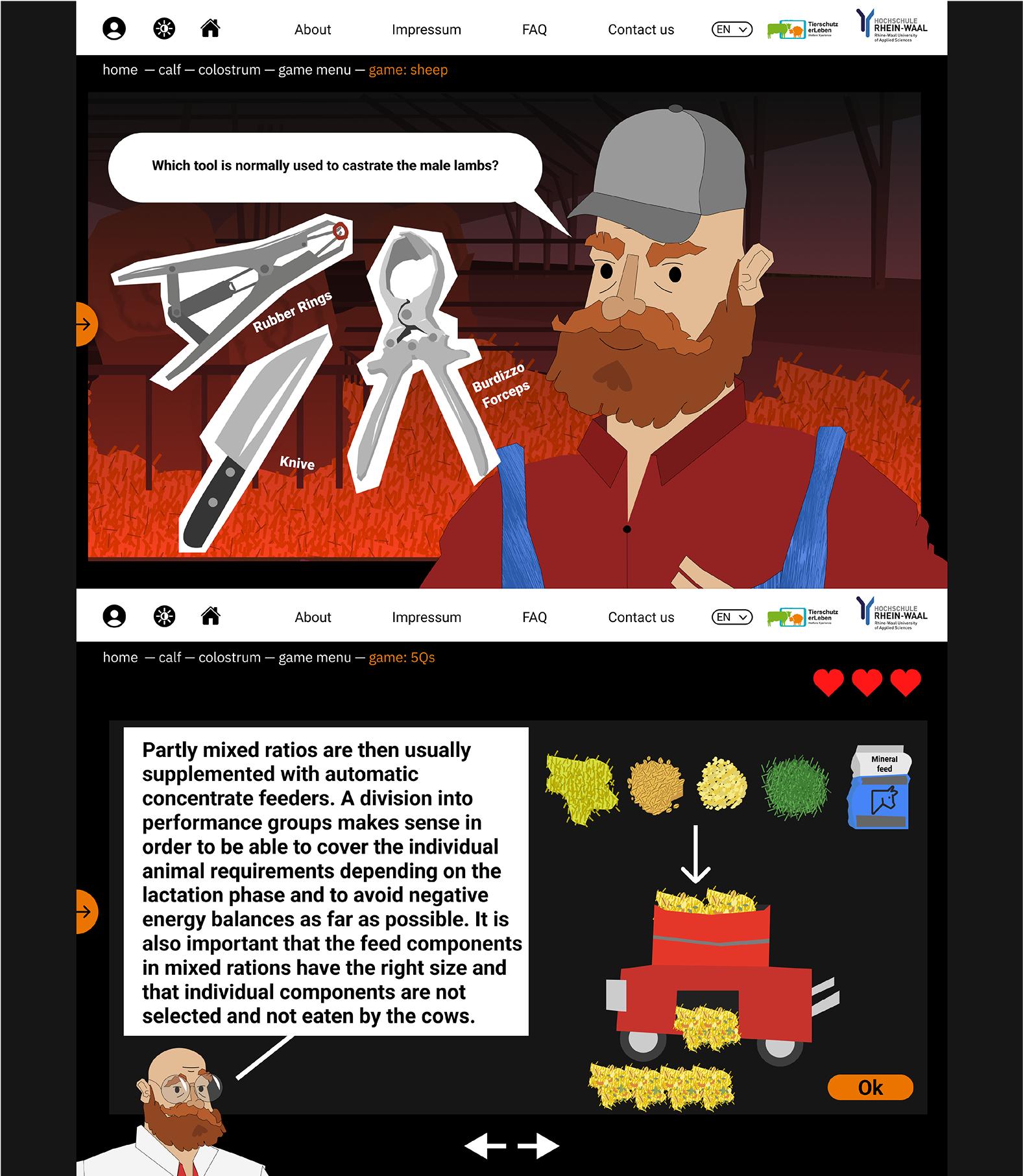 Animated learning module showing farming tool quiz and feeding instructions